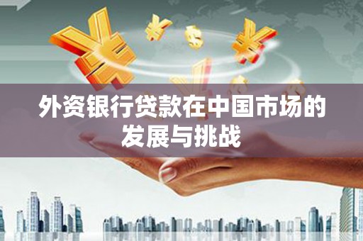洛宁外资银行贷款在中国市场的发展与挑战