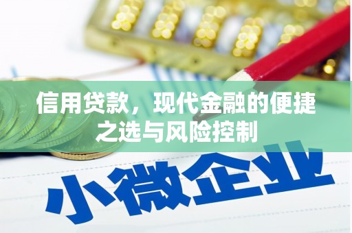 洛宁信用贷款，现代金融的便捷之选与风险控制