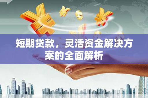 洛宁短期贷款，灵活资金解决方案的全面解析
