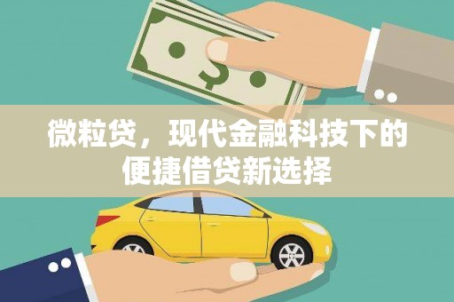 洛宁微粒贷，现代金融科技下的便捷借贷新选择