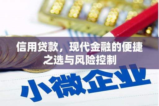 洛宁信用贷款，现代金融的便捷之选与风险控制