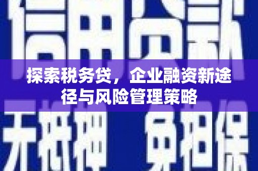 洛宁探索税务贷，企业融资新途径与风险管理策略
