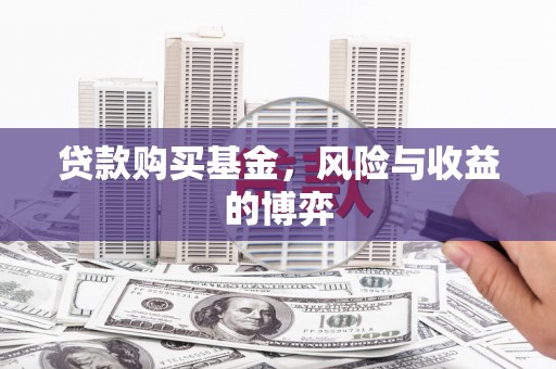 洛宁贷款购买基金，风险与收益的博弈