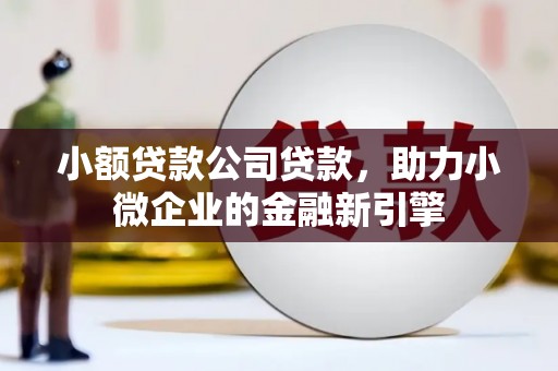 洛宁小额贷款公司贷款，助力小微企业的金融新引擎