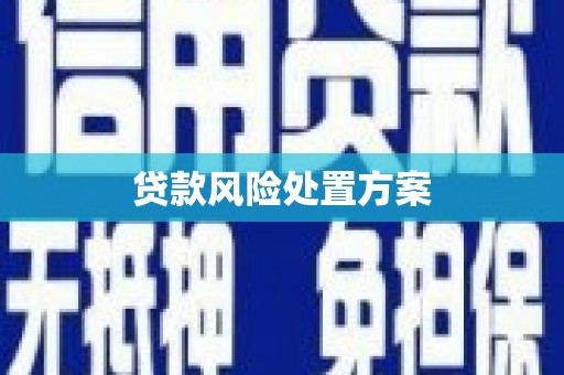 洛宁贷款风险处置方案