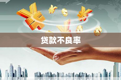洛宁贷款不良率