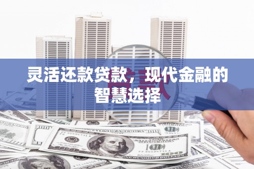 洛宁灵活还款贷款，现代金融的智慧选择