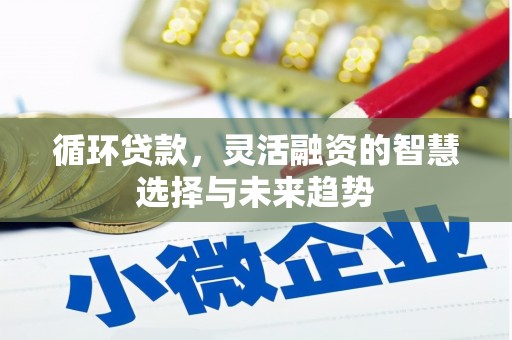 洛宁循环贷款，灵活融资的智慧选择与未来趋势