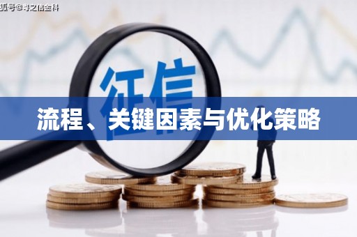 洛宁流程、关键因素与优化策略