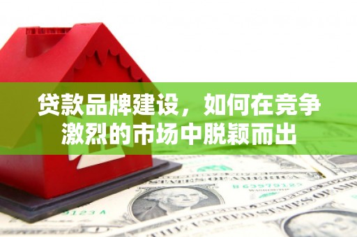 洛宁贷款品牌建设，如何在竞争激烈的市场中脱颖而出