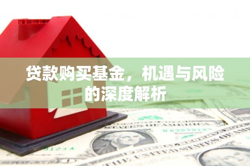 洛宁贷款购买基金，机遇与风险的深度解析