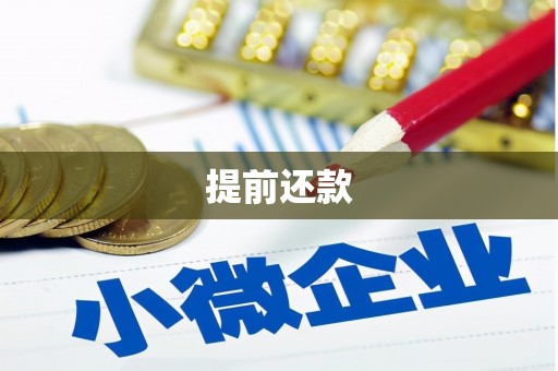 洛宁提前还款