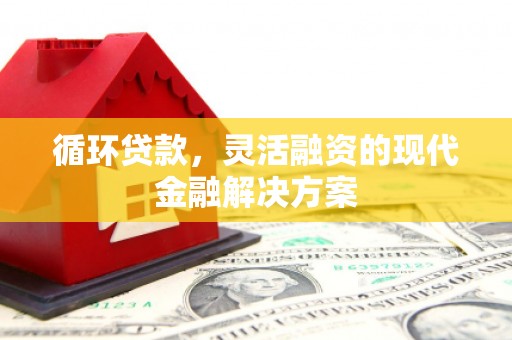 洛宁循环贷款，灵活融资的现代金融解决方案