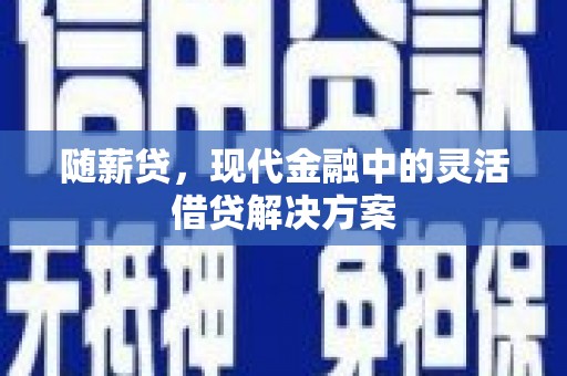 洛宁随薪贷，现代金融中的灵活借贷解决方案