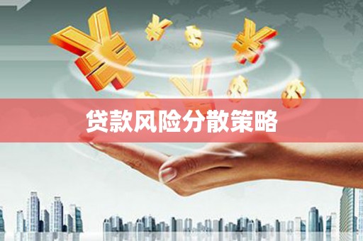 洛宁贷款风险分散策略