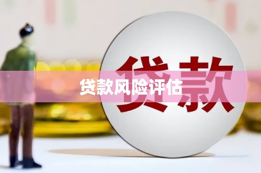 洛宁贷款风险评估