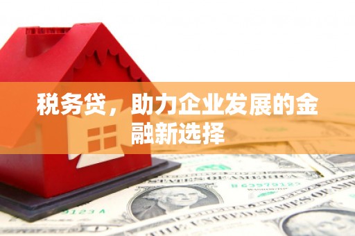 洛宁税务贷，助力企业发展的金融新选择