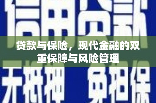 洛宁贷款与保险，现代金融的双重保障与风险管理