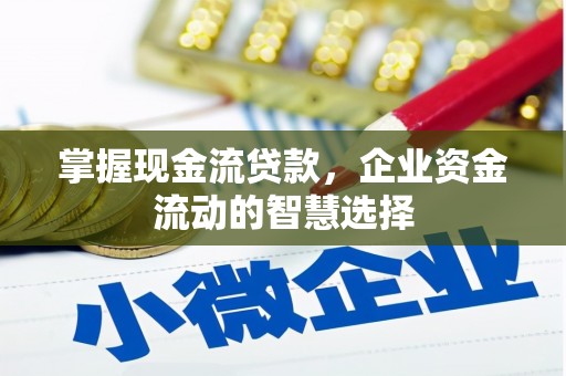 洛宁掌握现金流贷款，企业资金流动的智慧选择
