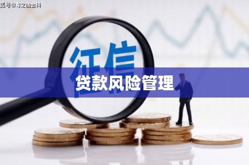 洛宁贷款风险管理