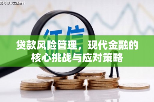 洛宁贷款风险管理，现代金融的核心挑战与应对策略
