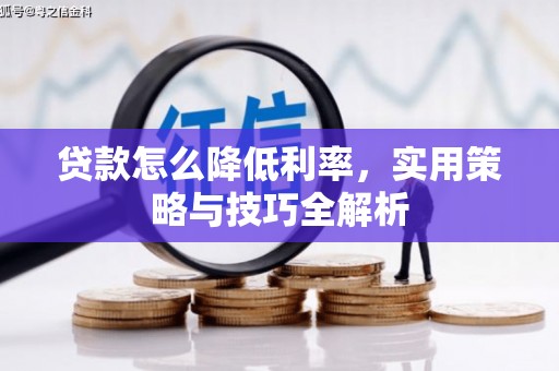 洛宁贷款怎么降低利率，实用策略与技巧全解析