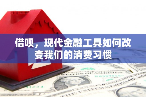 洛宁借呗，现代金融工具如何改变我们的消费习惯