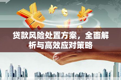 洛宁贷款风险处置方案，全面解析与高效应对策略