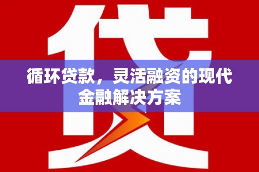 洛宁循环贷款，灵活融资的现代金融解决方案