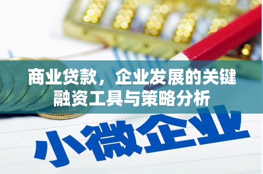 洛宁商业贷款，企业发展的关键融资工具与策略分析