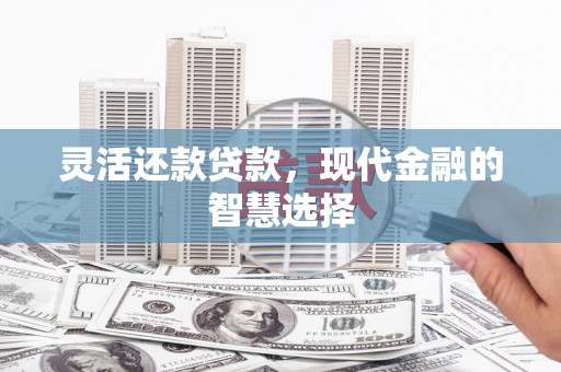 洛宁灵活还款贷款，现代金融的智慧选择
