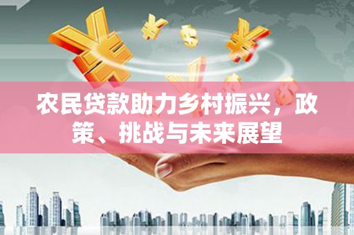 洛宁农民贷款助力乡村振兴，政策、挑战与未来展望