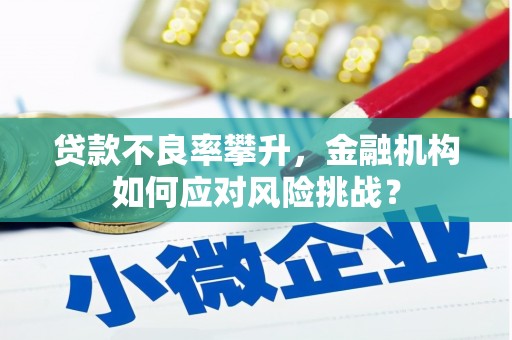 洛宁贷款不良率攀升，金融机构如何应对风险挑战？