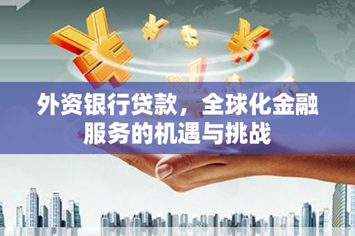 洛宁外资银行贷款，全球化金融服务的机遇与挑战