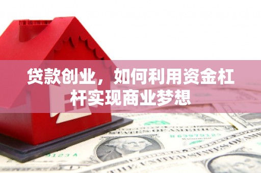洛宁贷款创业，如何利用资金杠杆实现商业梦想