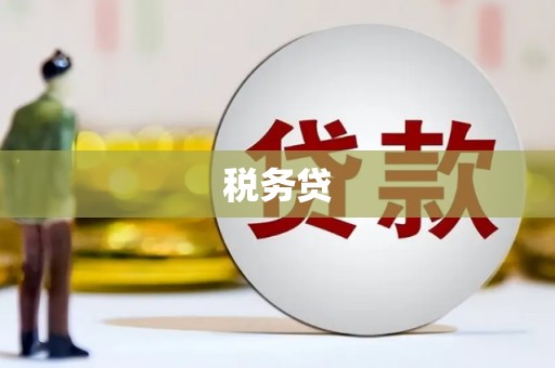 洛宁税务贷