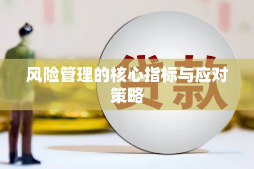 洛宁风险管理的核心指标与应对策略