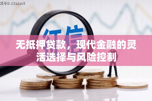 洛宁无抵押贷款，现代金融的灵活选择与风险控制