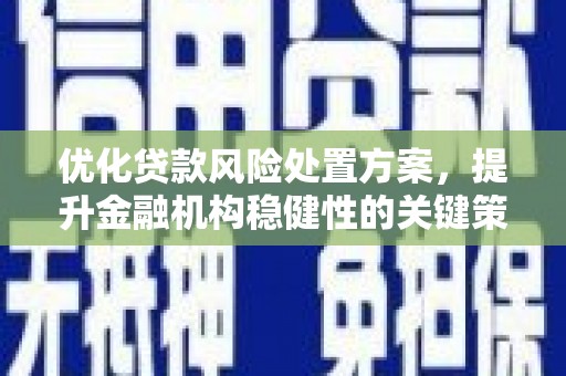 洛宁优化贷款风险处置方案，提升金融机构稳健性的关键策略