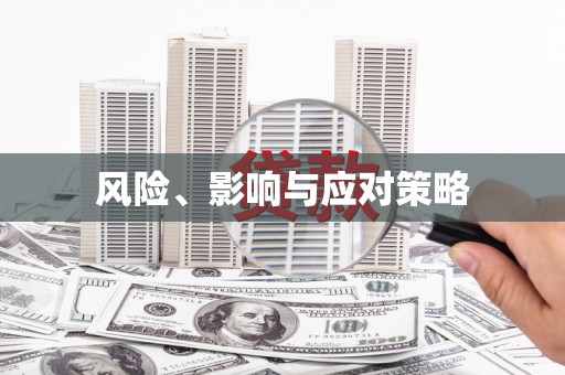 洛宁风险、影响与应对策略