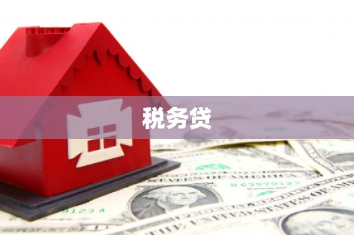 洛宁税务贷