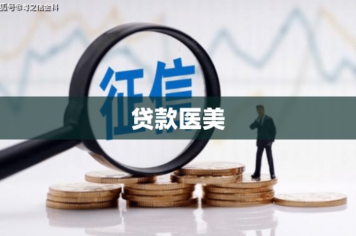 洛宁贷款医美