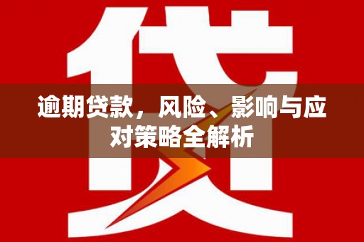 洛宁逾期贷款，风险、影响与应对策略全解析