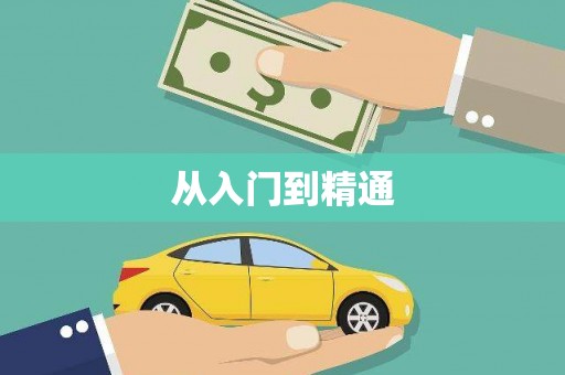 洛宁从入门到精通