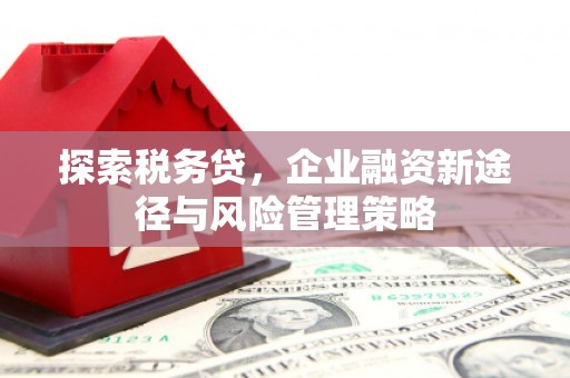 洛宁探索税务贷，企业融资新途径与风险管理策略