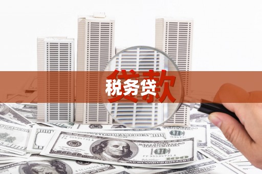 洛宁税务贷