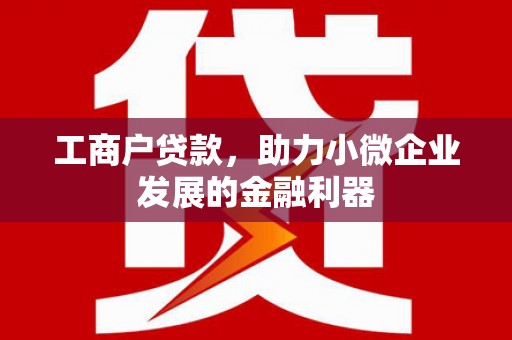 洛宁工商户贷款，助力小微企业发展的金融利器