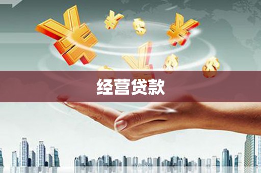 洛宁经营贷款