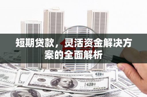 洛宁短期贷款，灵活资金解决方案的全面解析
