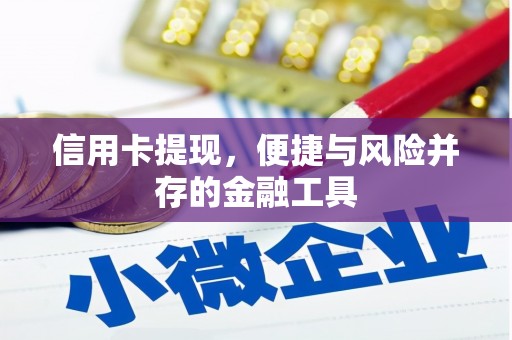 洛宁信用卡提现，便捷与风险并存的金融工具